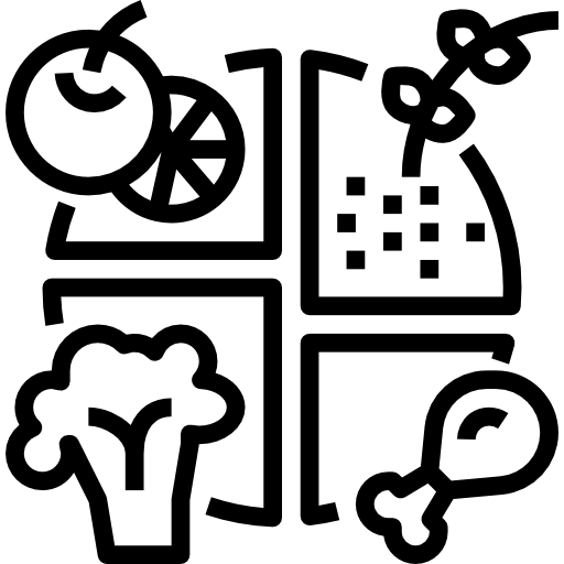 Elderly Care Services in Chennai for Seniors